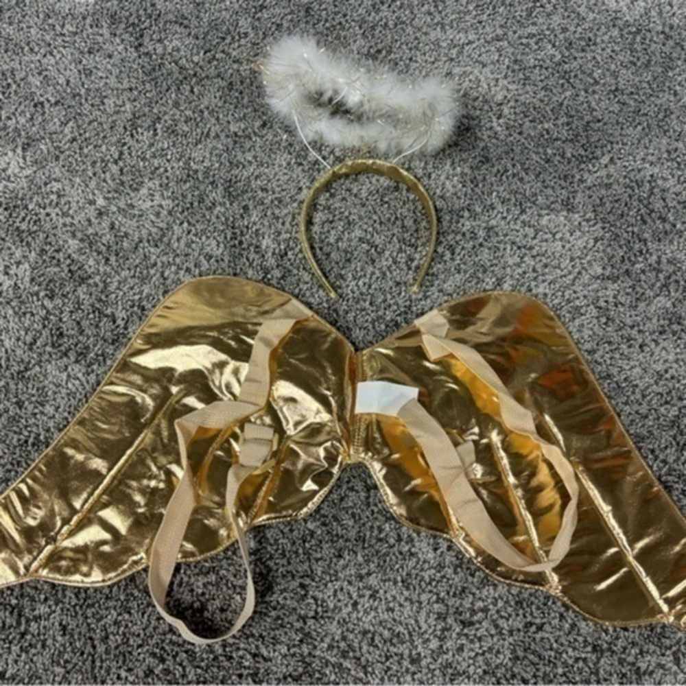Adult angel costume